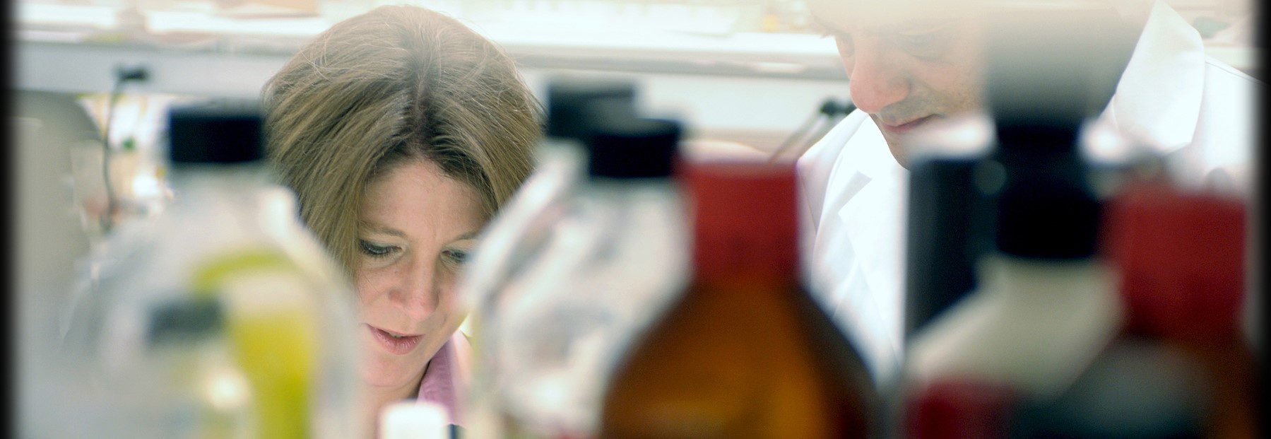 UofL success in earning NIH support