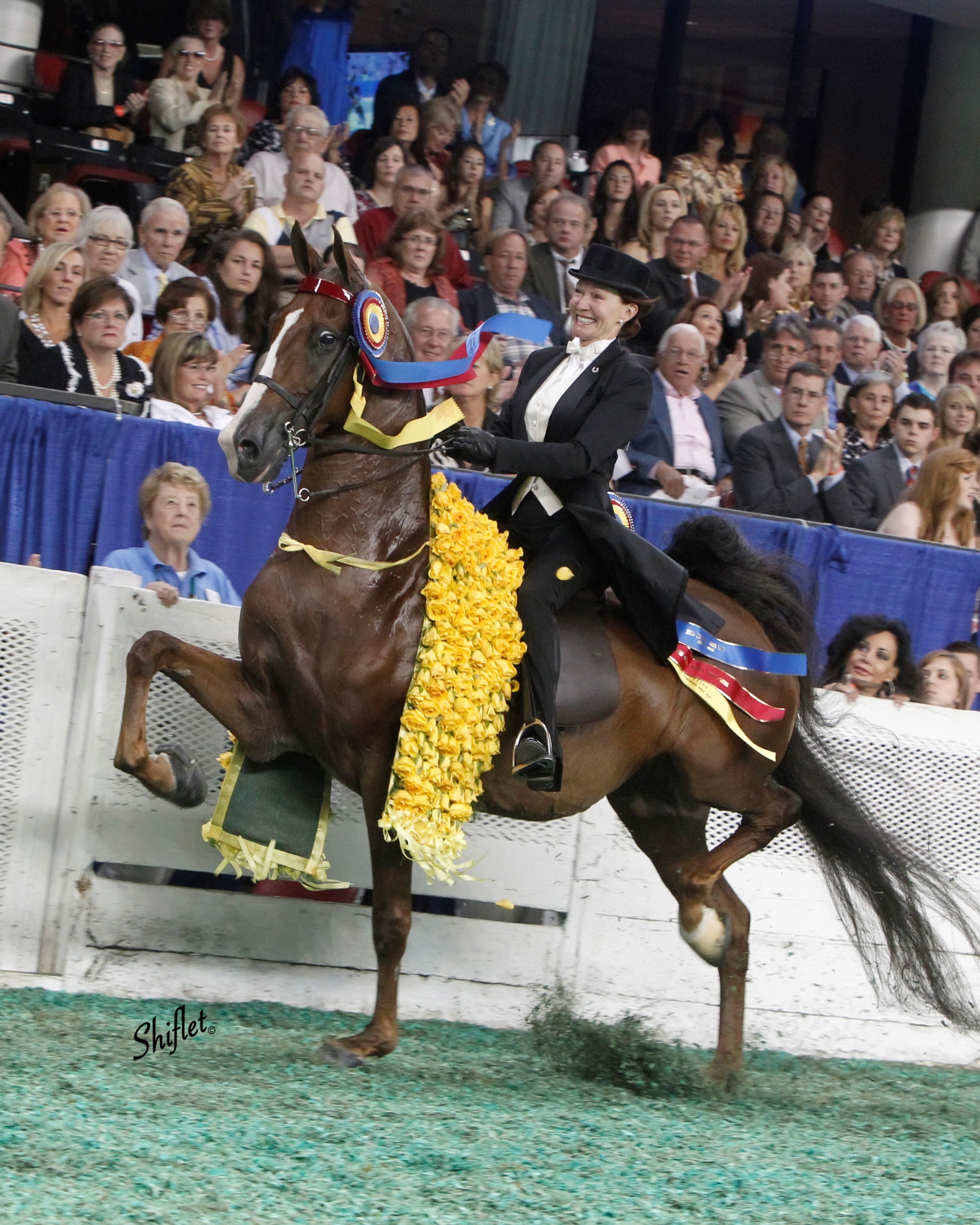 Horses and Hope ambassador uses world cup qualifying events to spread breast cancer awareness