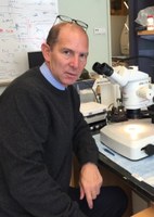 NYU researcher will discuss heart’s conduction system April 26 