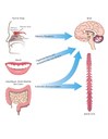 Robert Friedland proposes new term for the role of microbiota in neurodegeneration:  Mapranosis