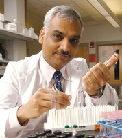 UofL diabetes and obesity researcher to chair NIH study section
