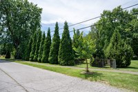 UofL Green Heart Project: residents’ inflammation lower after trees added to neighborhoods