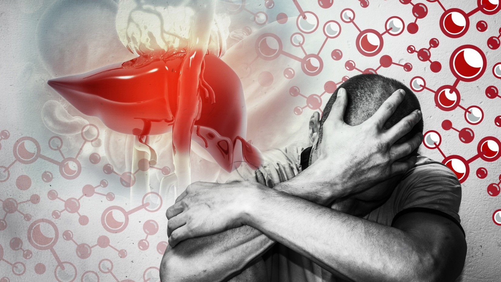 UofL research shows combined exposure to alcohol and “forever chemicals” increases liver damage