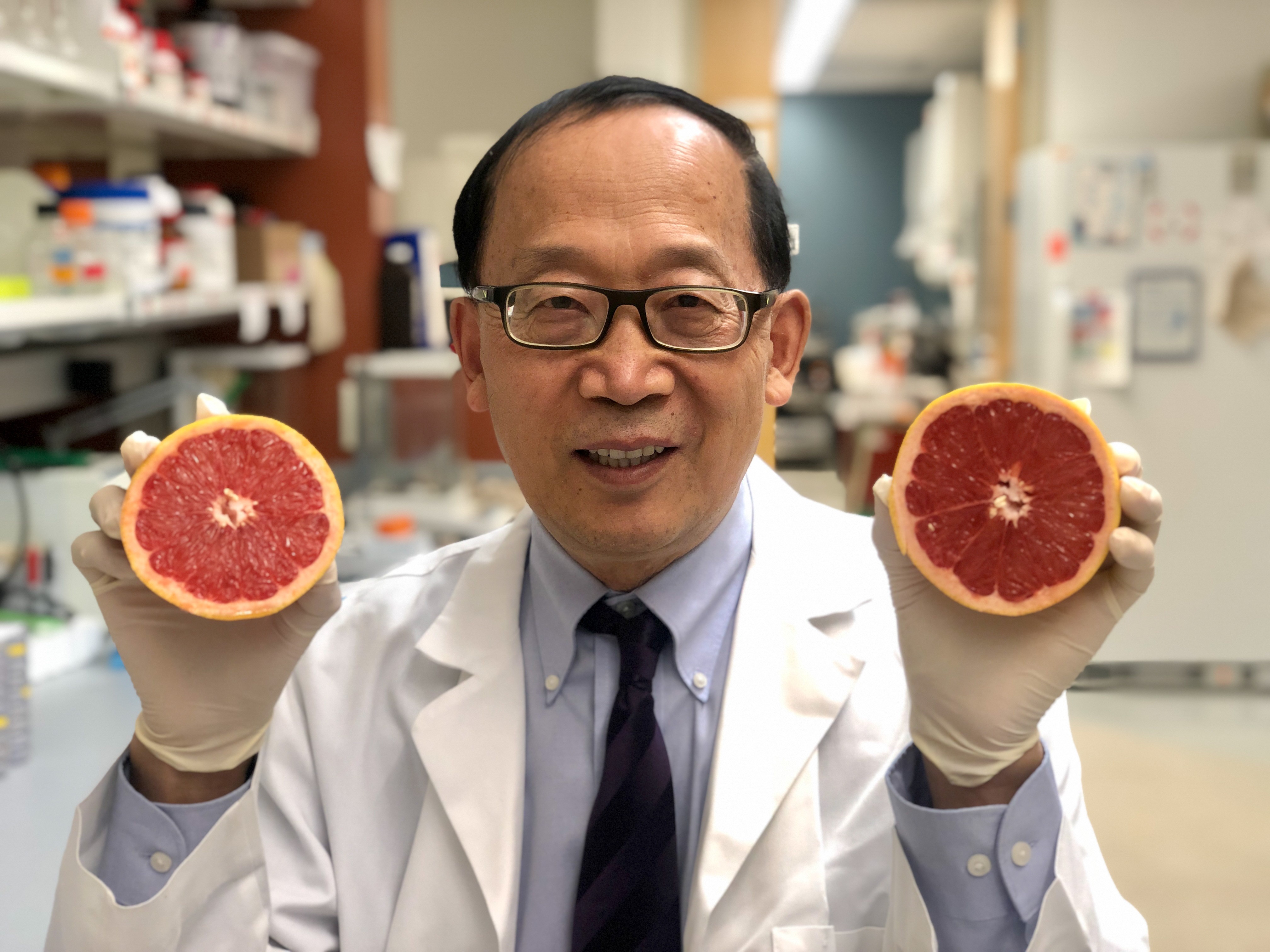 UofL researcher uses fruit for less toxic drug delivery