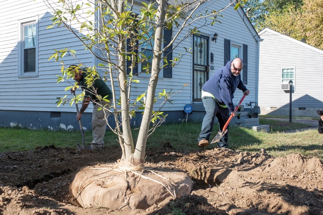 UofL researchers find more health benefits of living in a greener environment