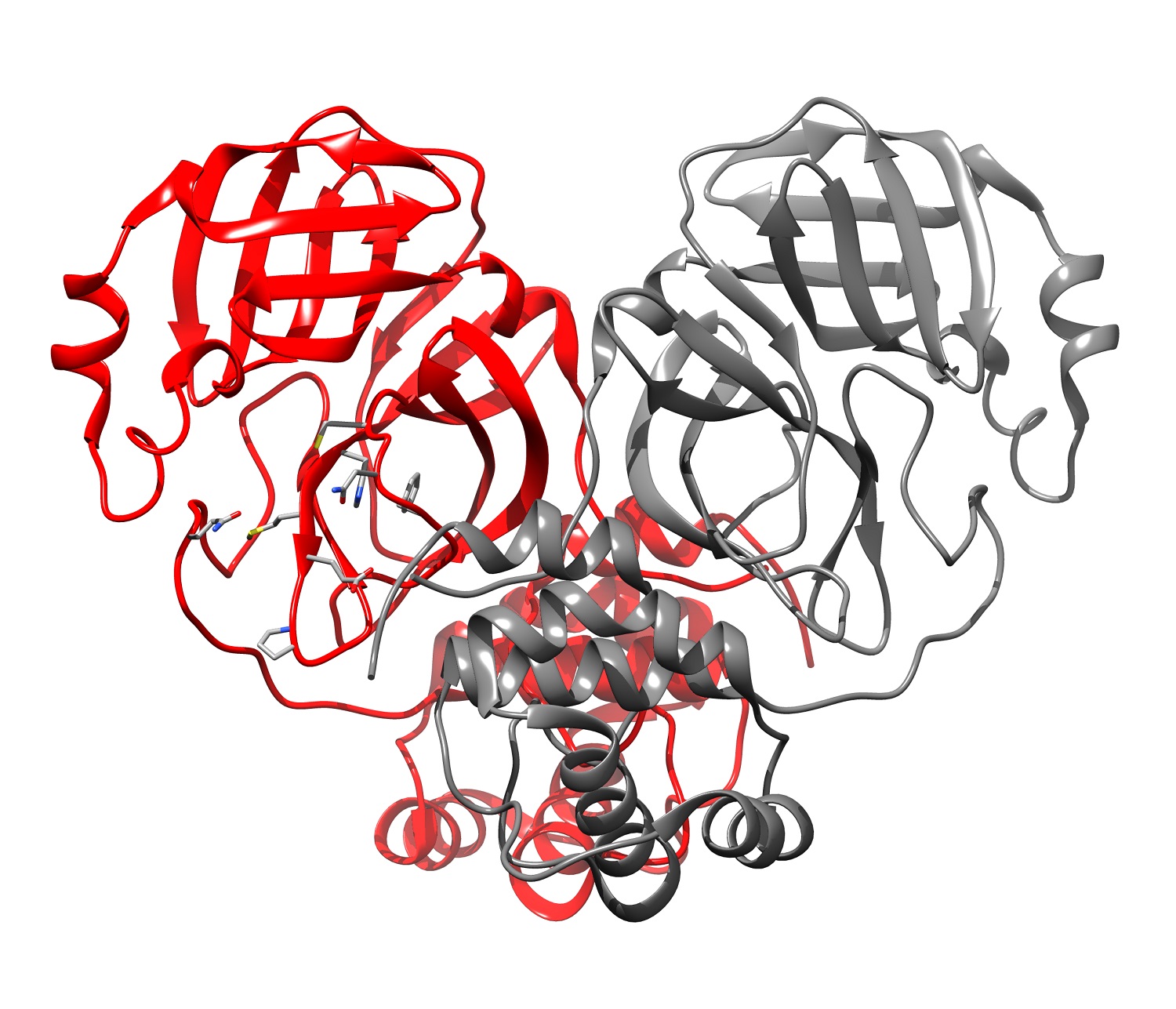 UofL researchers seek new drugs to fight coronavirus using computers in schools across Kentucky using DataseamGrid