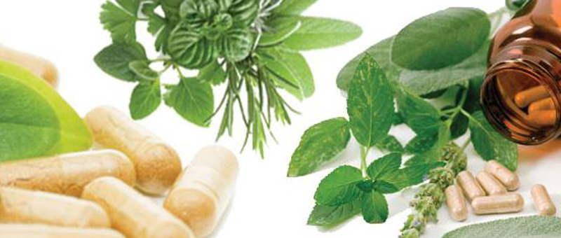 Herbs and Supplements