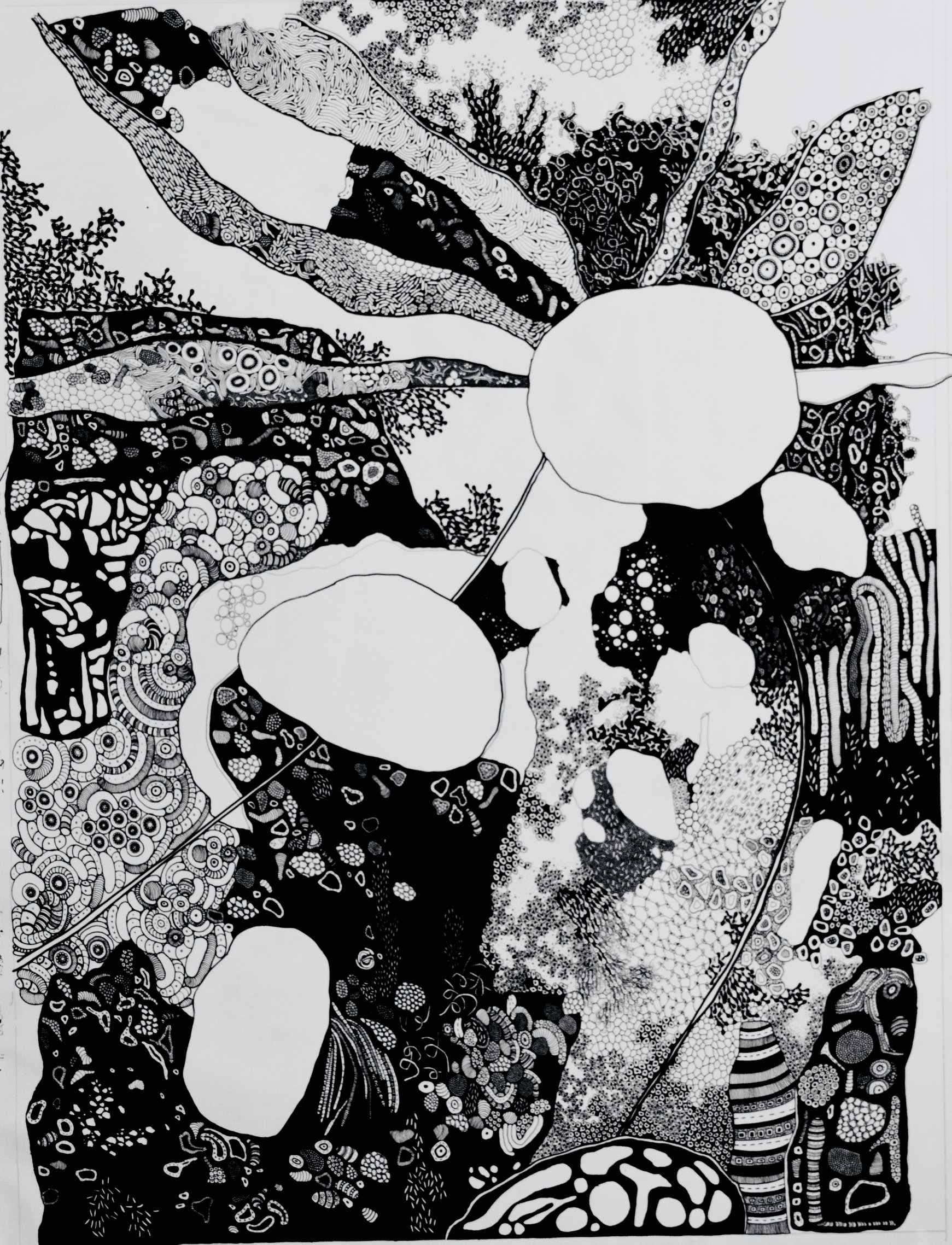 Chamma (Issue 11)