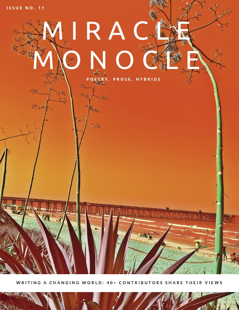 Cover Issue 11  (Issue 11)