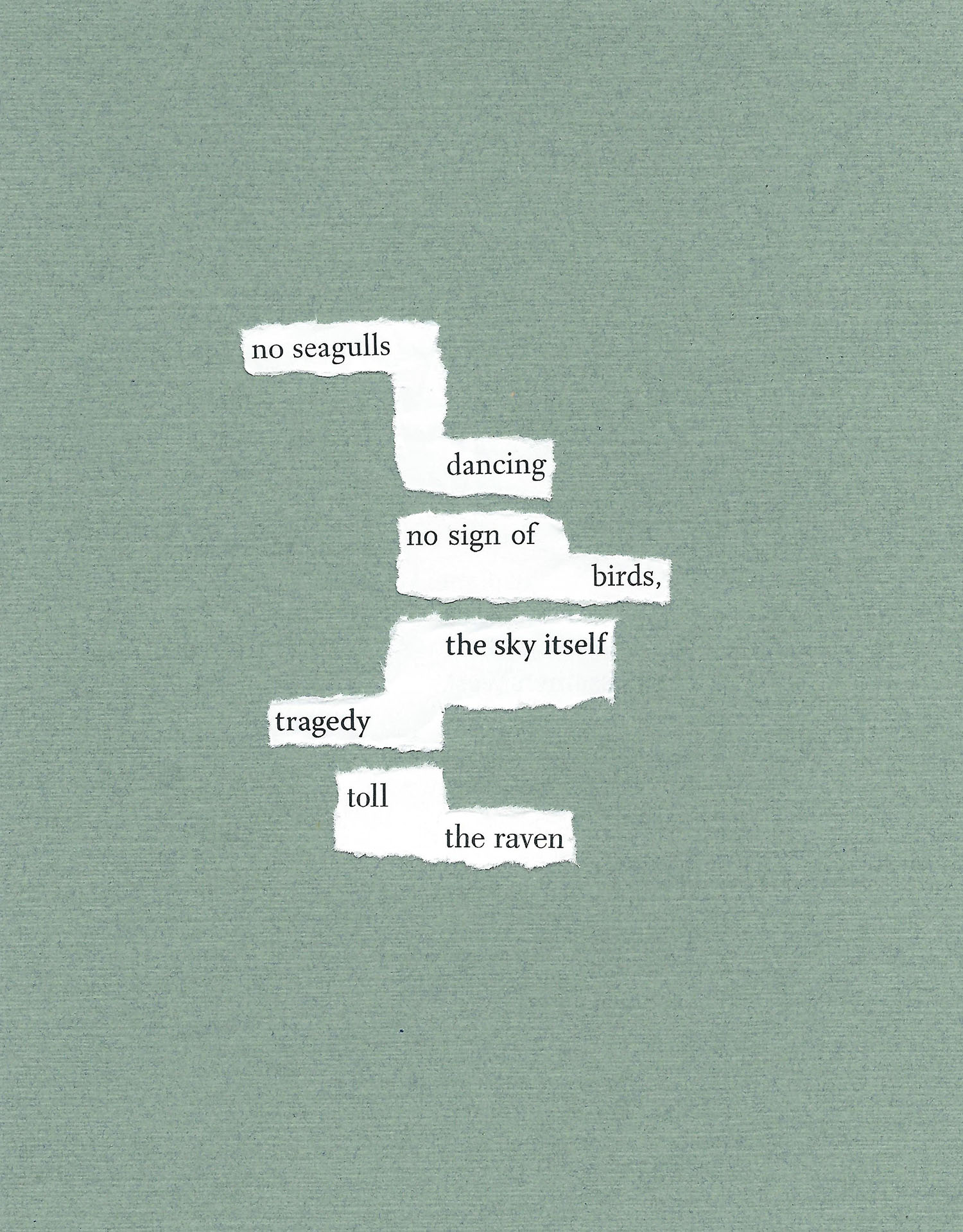 No Seagulls (Issue 14)