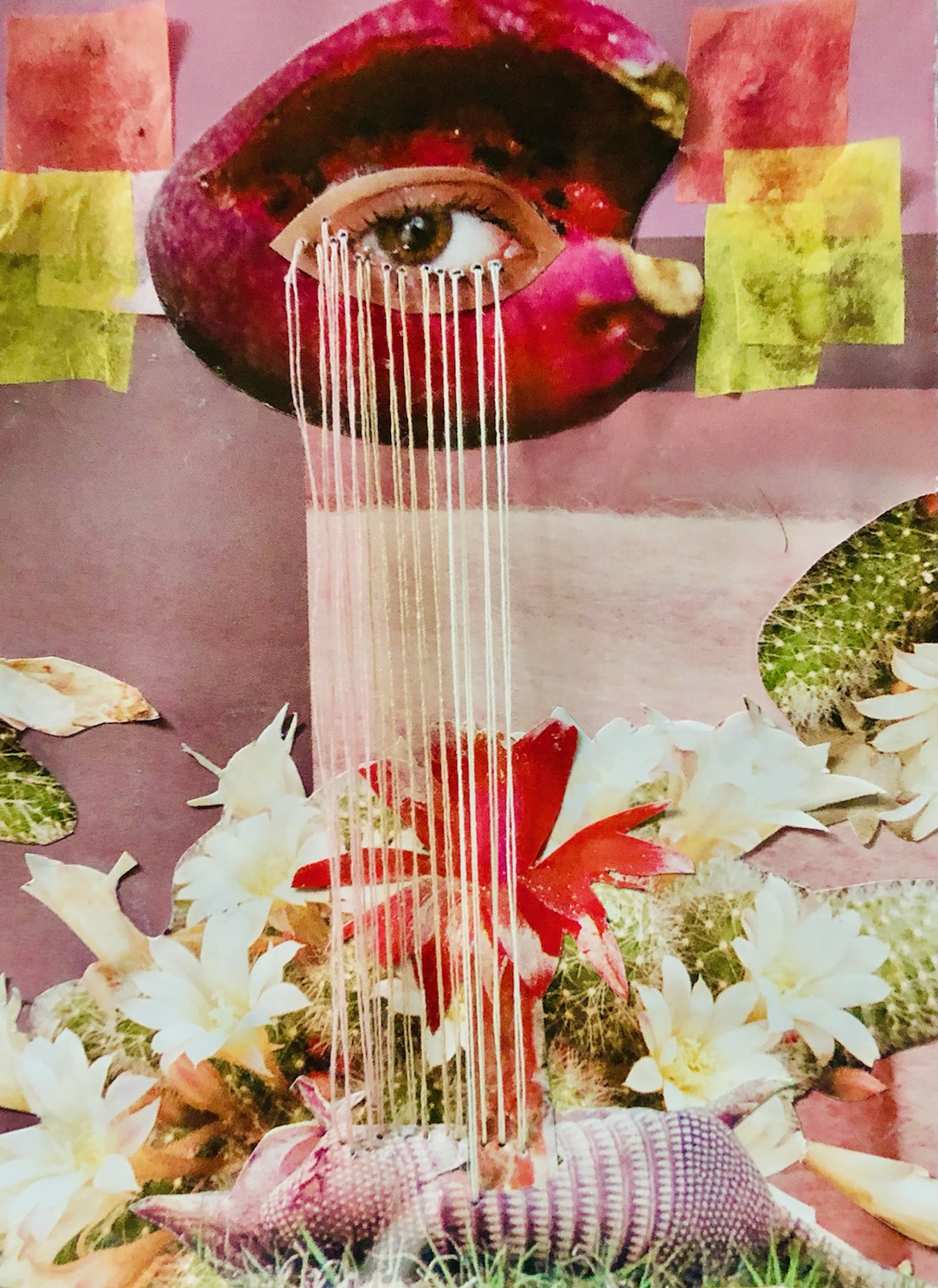 Leco 1 (Issue 18)