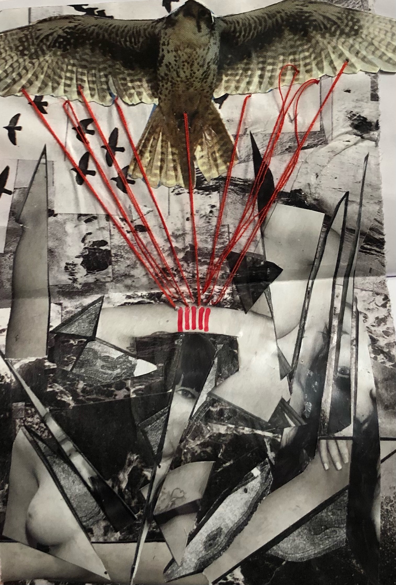 Leco 3 (Issue 18)