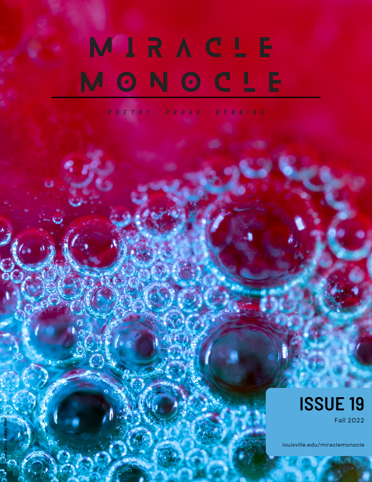 Issue 19 Cover (Issue19)