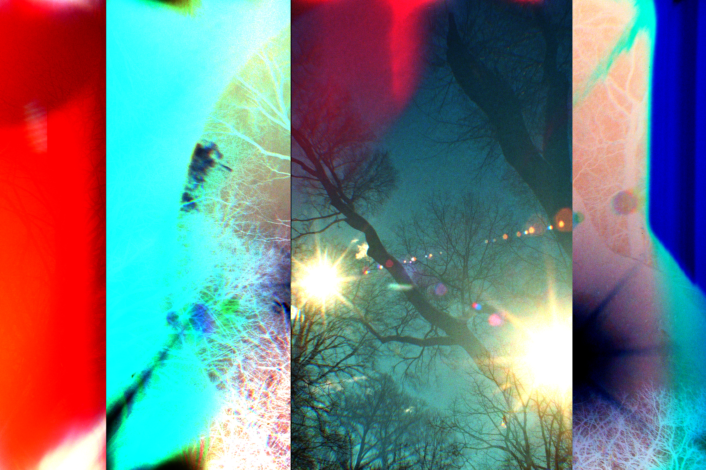 Oates 2 (Issue19)