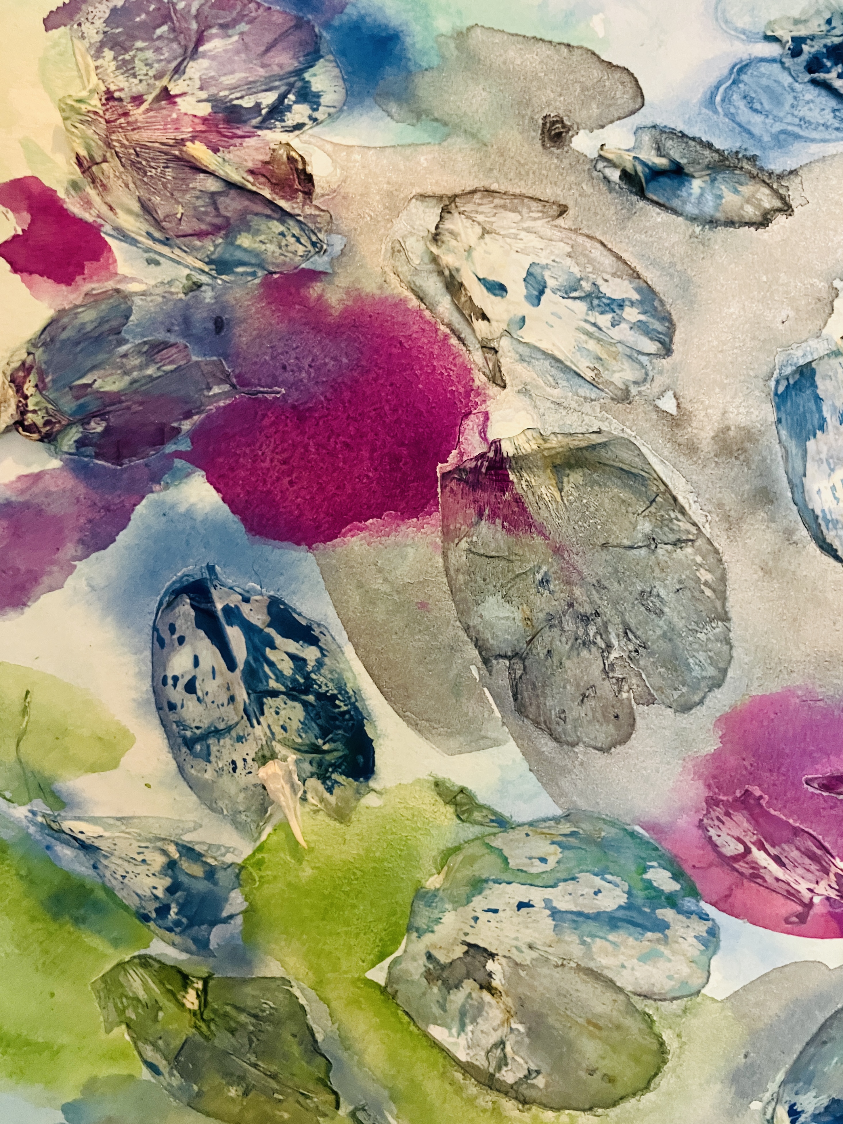 Peony 1 (Issue 24)