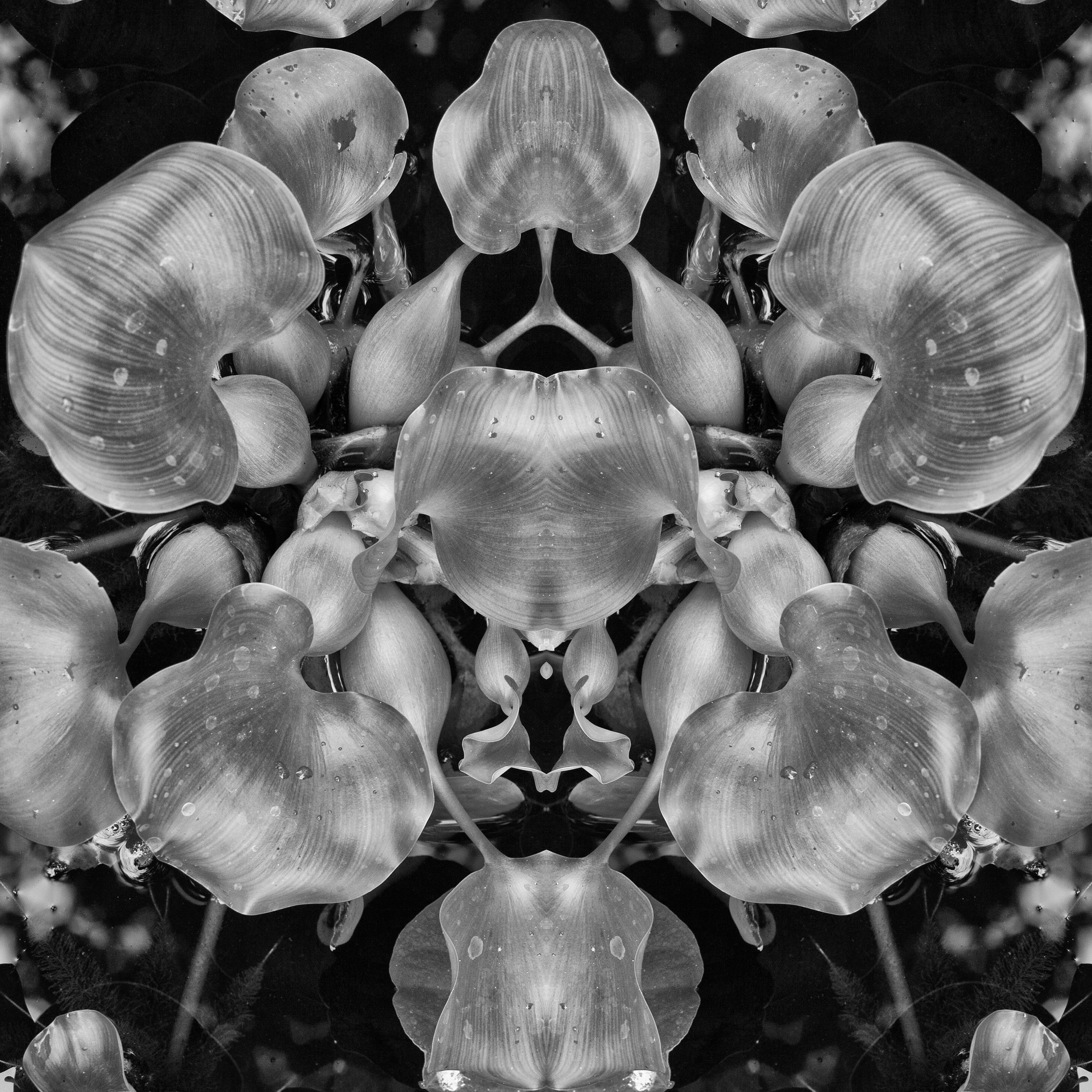 Parallel Perception No. 16 (Issue 10)