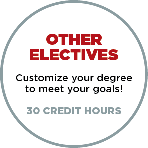 Other Electives - Customize your degree to meet your goals - 30 Credit Hours