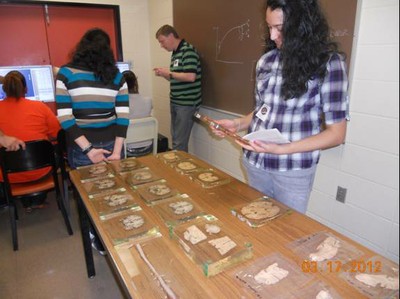 BAW volunteer Dharti Patel inspecting plasticized human brain