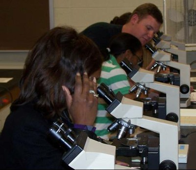 BAW volunteer Jeff Marschall helps participants find neurons on their microscope slides
