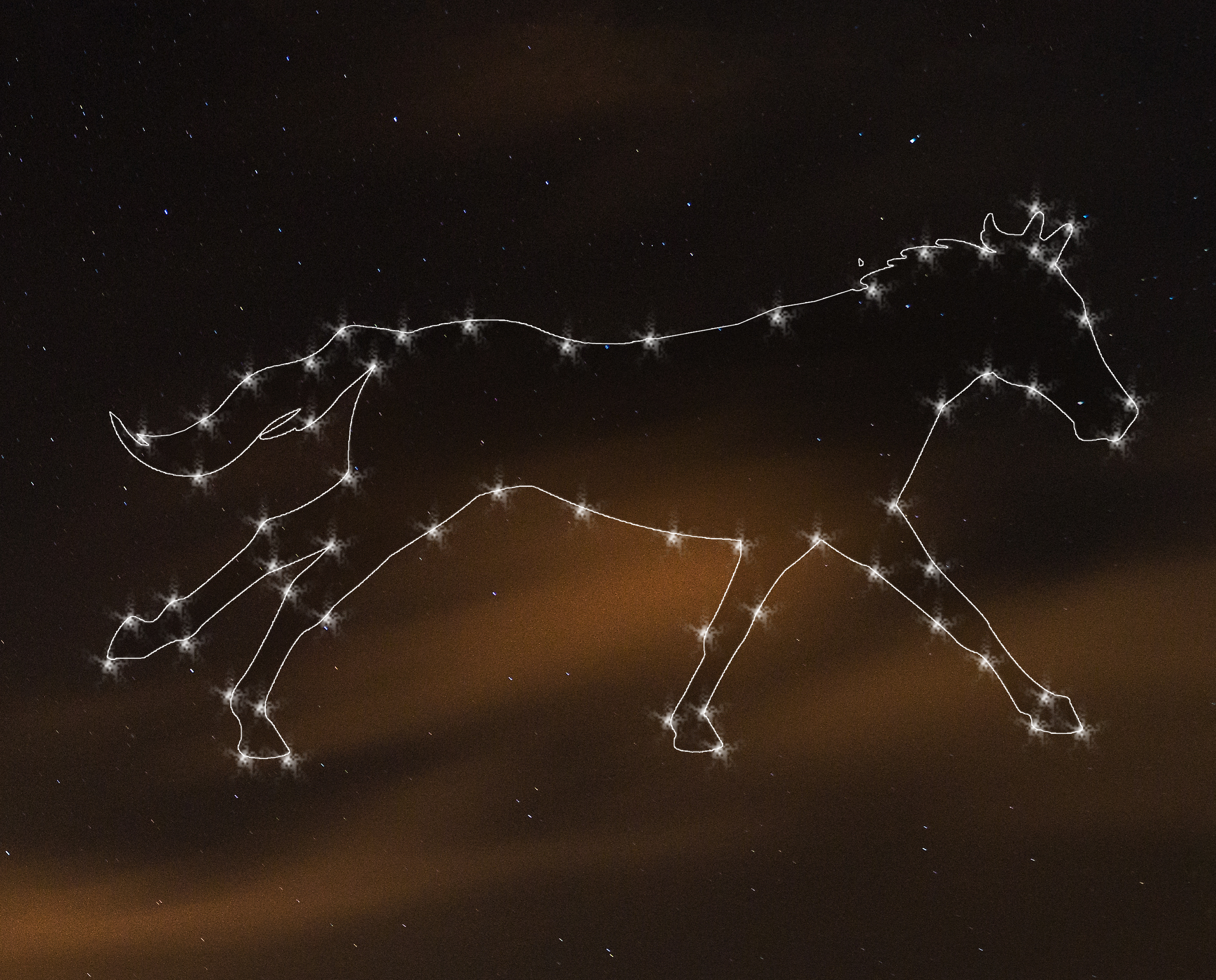 Horse logo