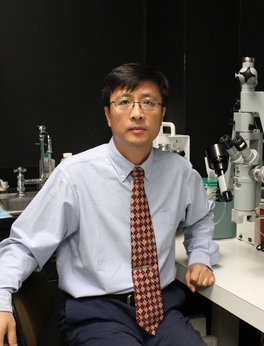 Jun Yan, M.D., Ph.D. — School of Medicine University of Louisville