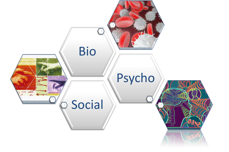 biopsychosocial reflect