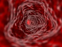 Tunnel view inside red vein-human anatomy