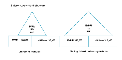 Diagram of University Scholar and Distinguished Scholar Salary Supplement Structure