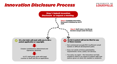 Disclosure Process Graphic 2024