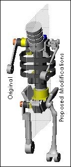 Femur Modification