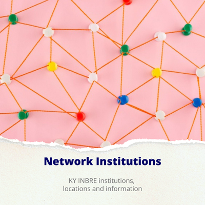 Network Institutions