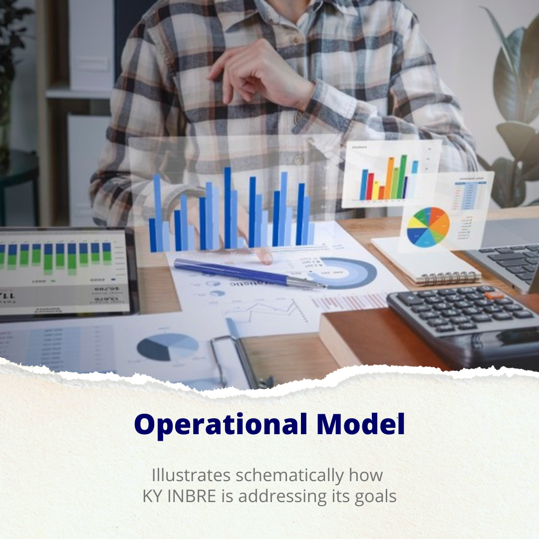 Operational Model