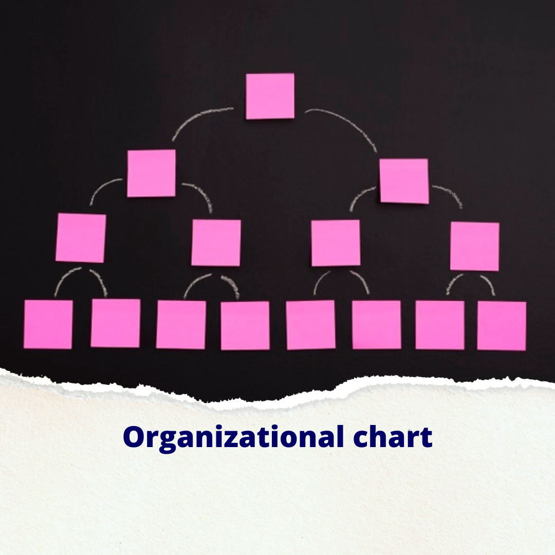 Organizational Chart