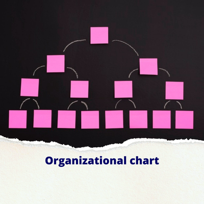 Organizational Chart