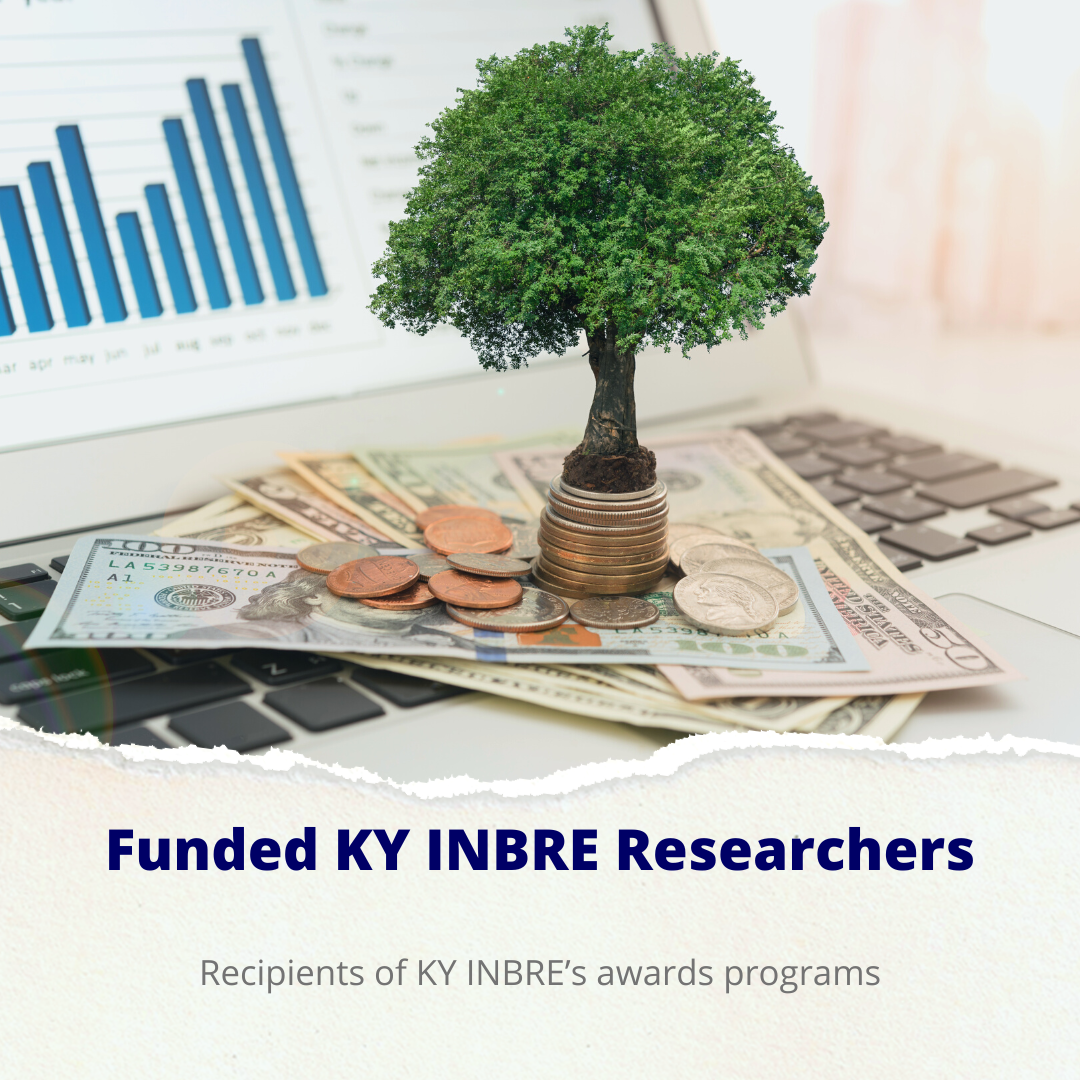 funded researchers