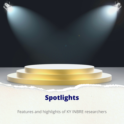 spotlights