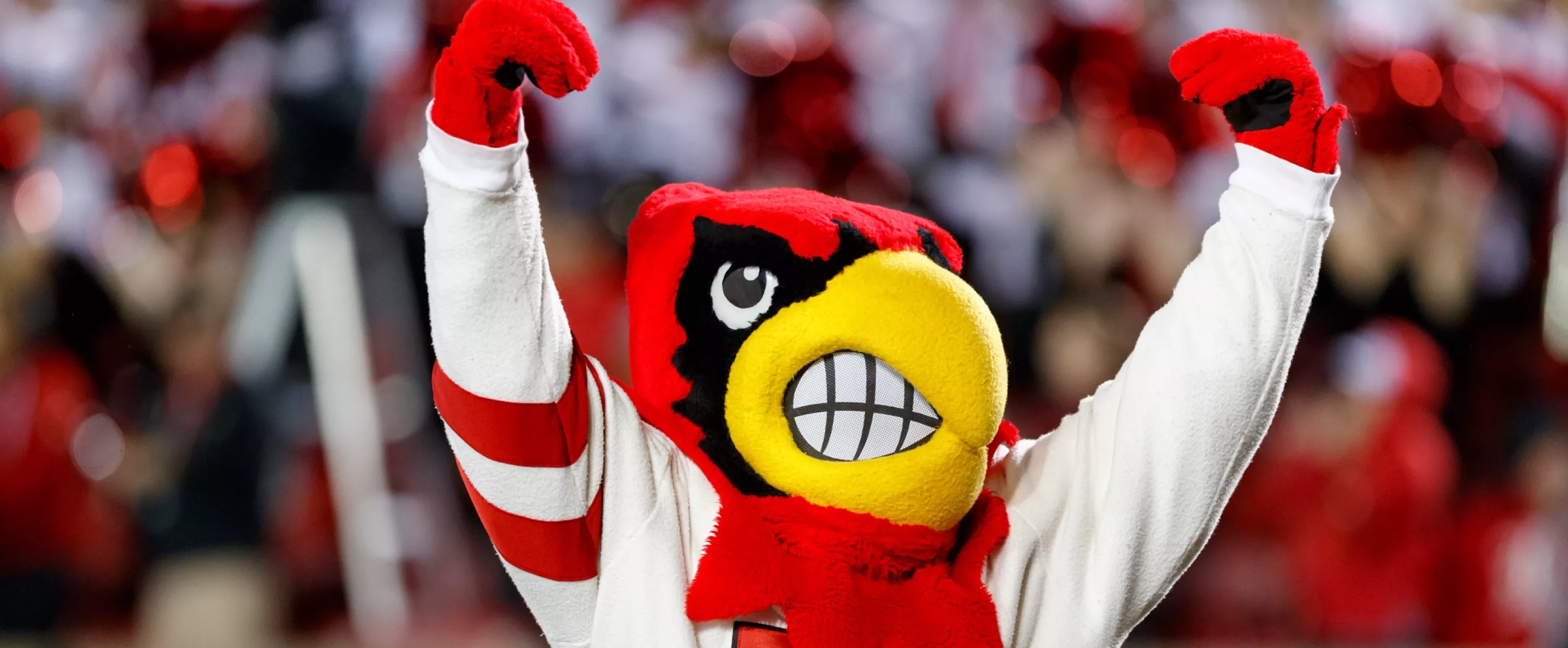 Louie the Cardinal Bird mascot cheering in front of a crowd