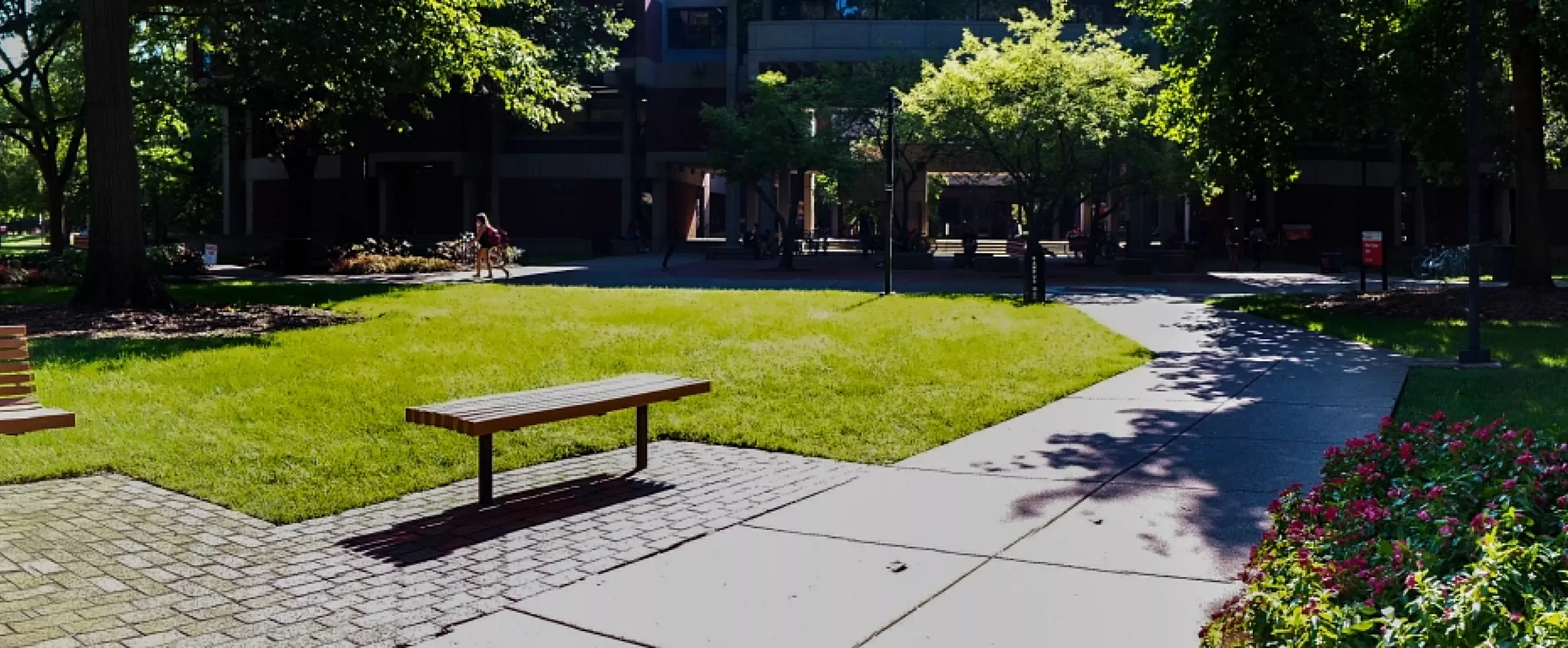 Quad outside of Ektrom Library