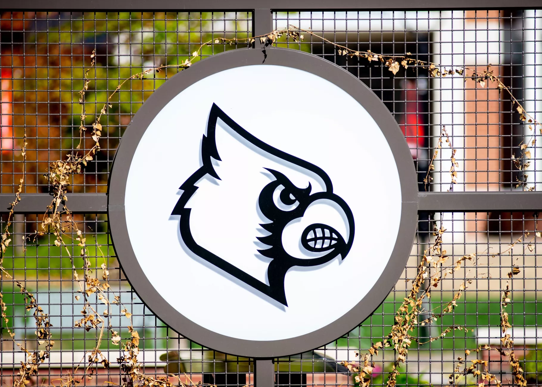 Architectural detail of the 2020 Pavillion