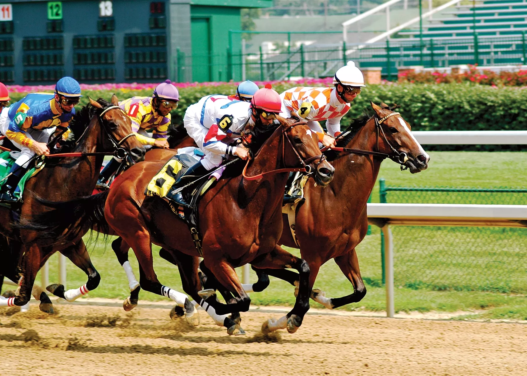 Horses take off out of the gate at Churchill downs.