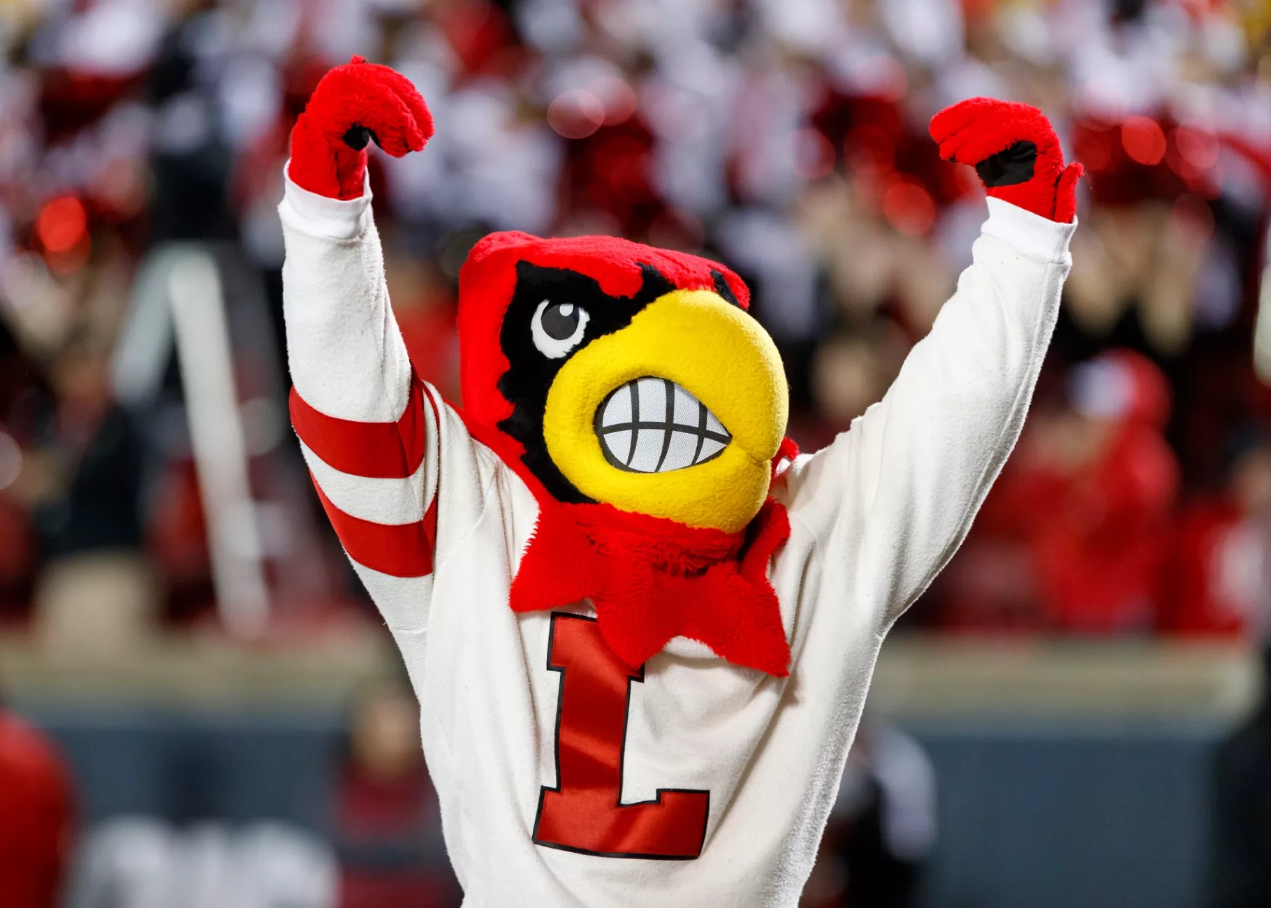 Louie the Cardinal Bird mascot cheering in front of a crowd