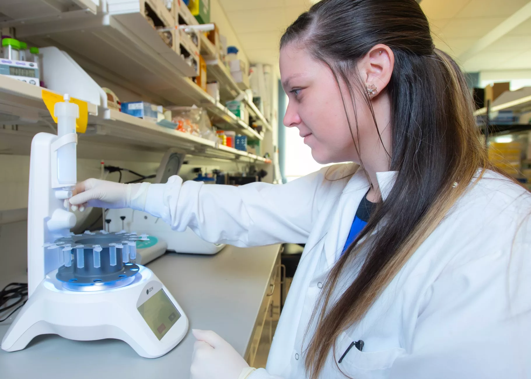 Katelyn Sheneman working at a lab bench