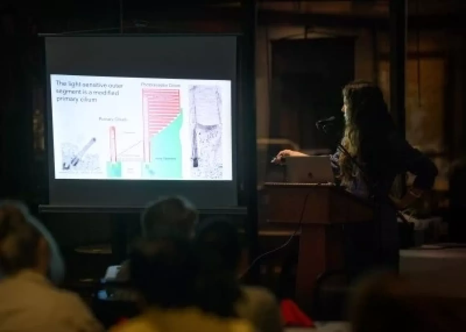 Woman presenting slides on photoreceptor cells to an audience.