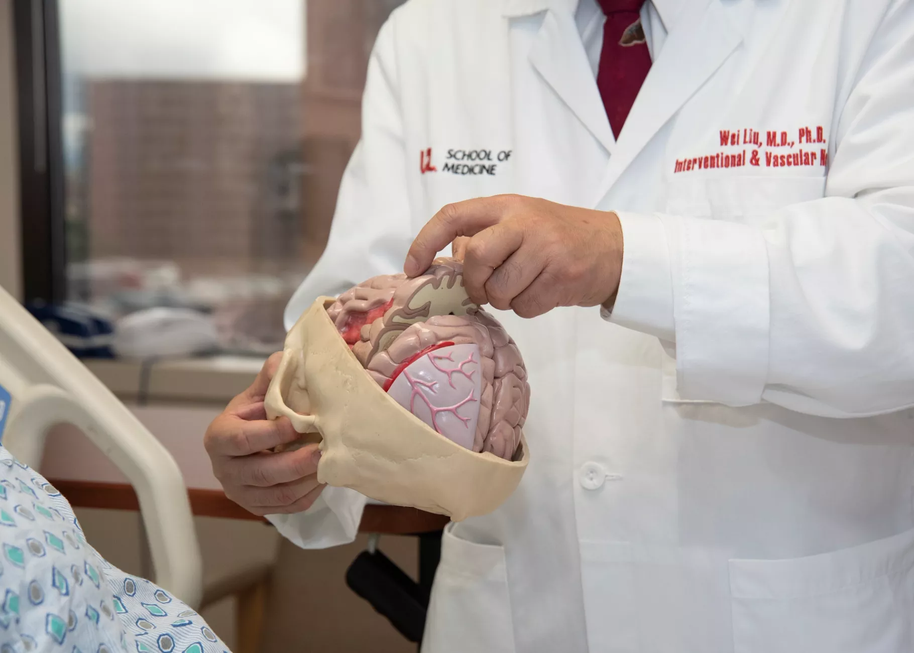 A physician hold a model of the brain while speaking to a patient in the stroke center