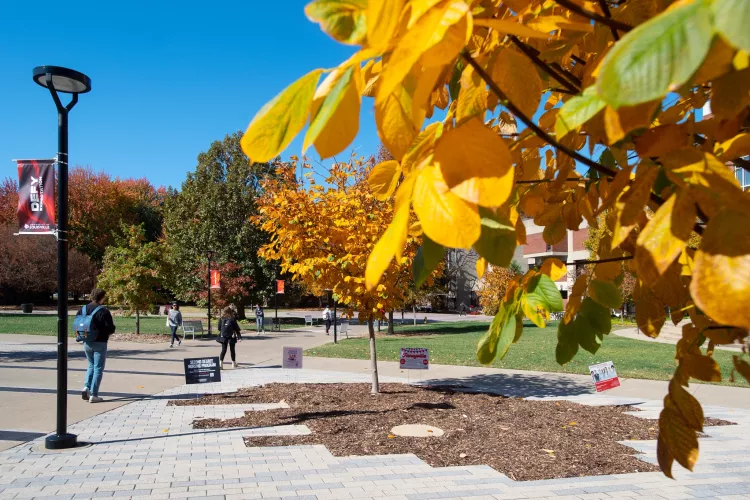 Fall view of the SAC clock tower with foliage