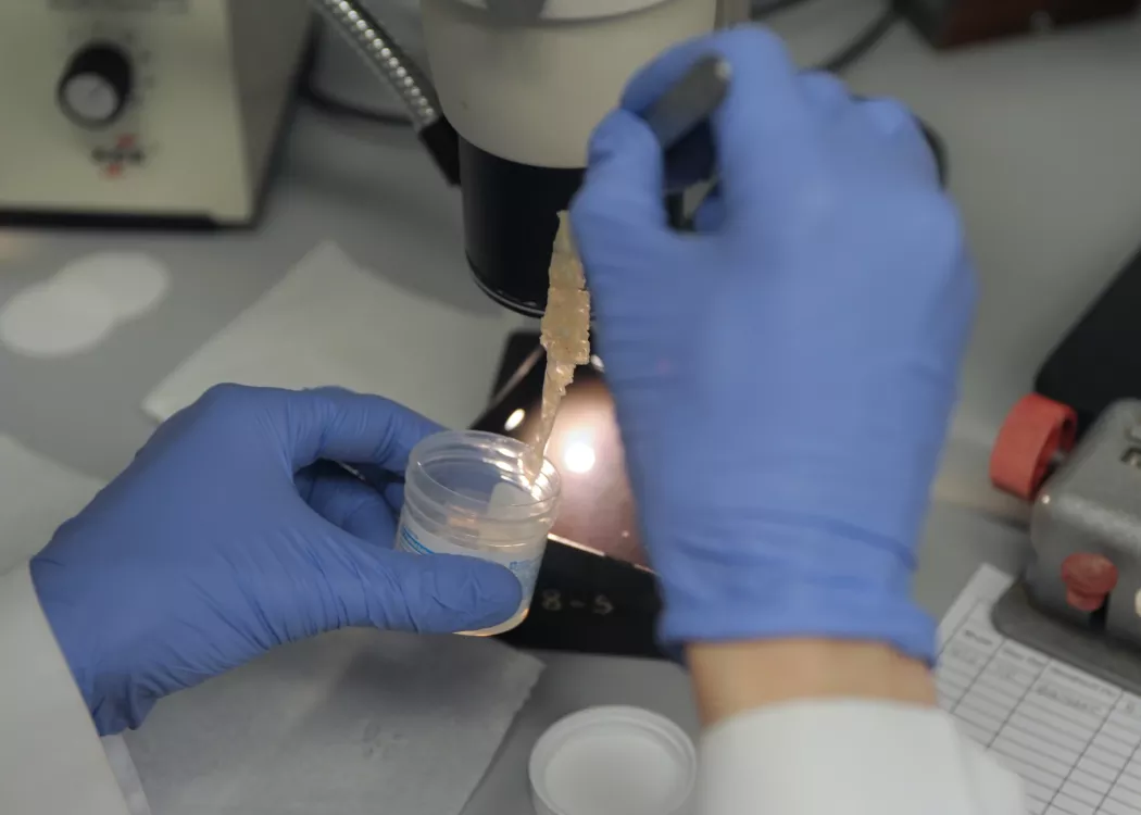 Close up image of researching in a lab