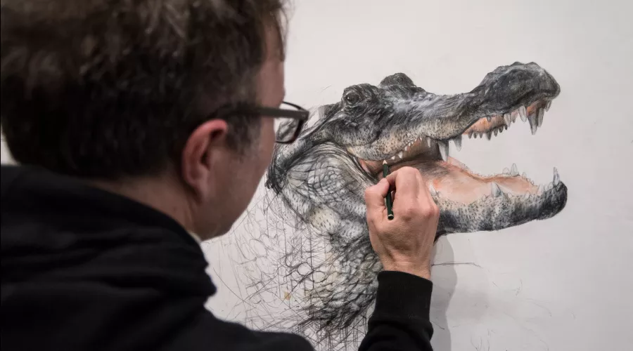 Student draws an alligator