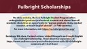 Fulbright Scholars