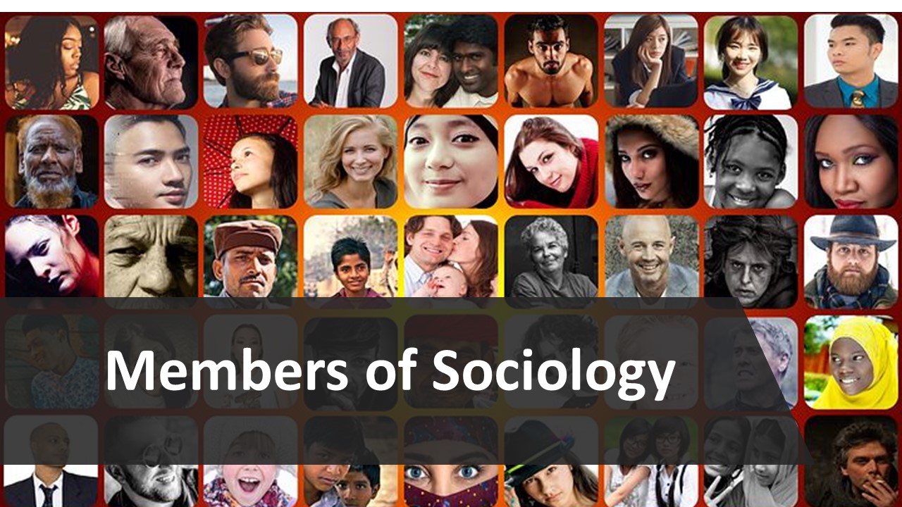 Meet the members of Sociology image