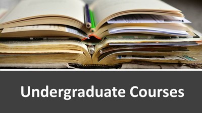 Undergraduate Courses image